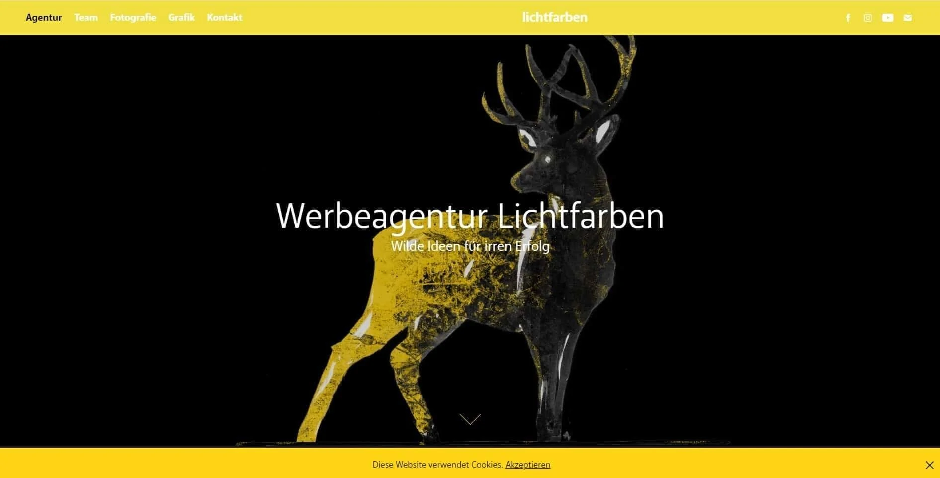 Wilfried Sonnleithner, Werbeagentur Lichtfarben